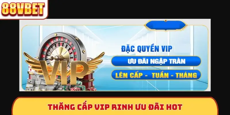 Thăng cấp VIP rinh ưu đãi hot