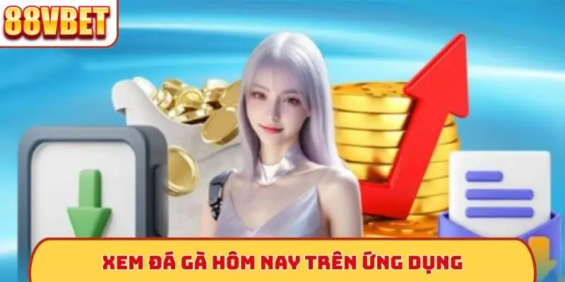 Xem đá gà hôm nay trên ứng dụng